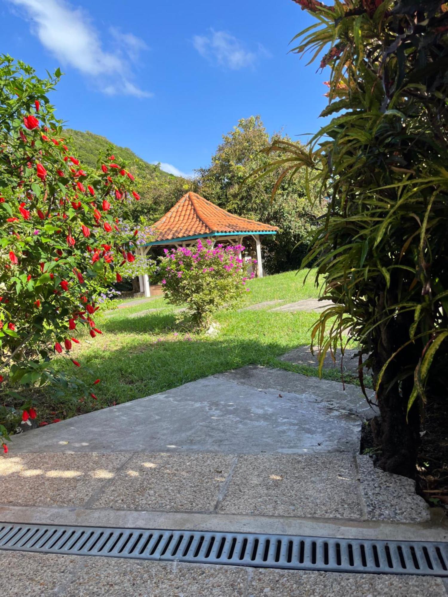 شقة Alpinia سانت آن المظهر الخارجي الصورة